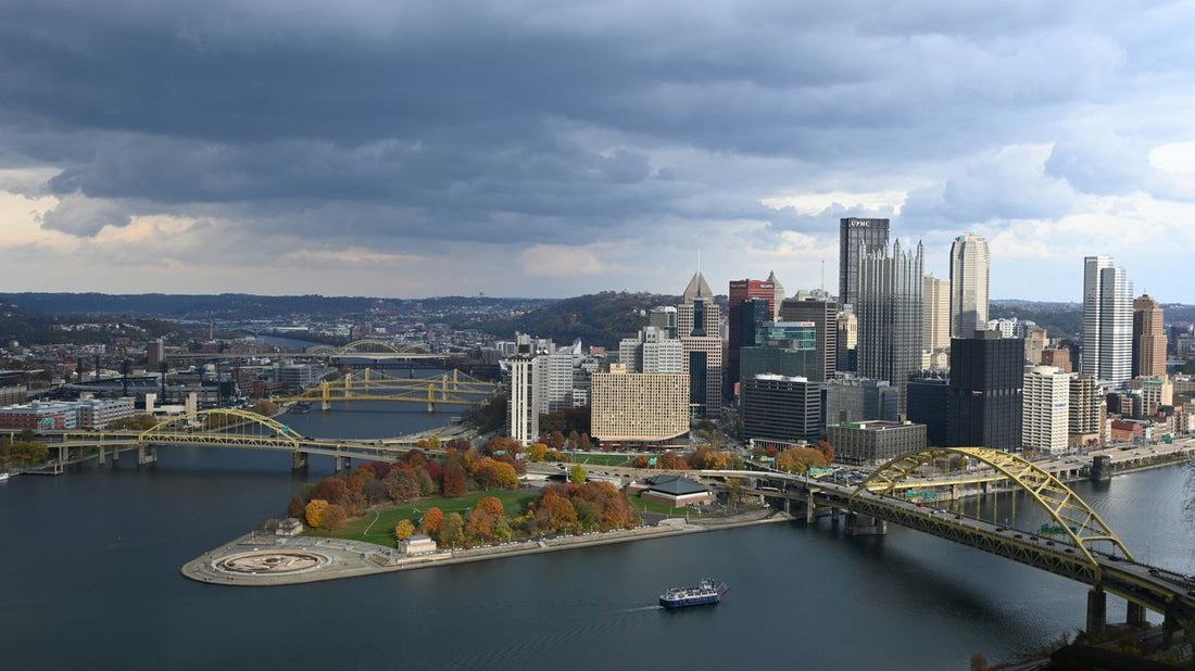 Cityscape with bridges over a river under cloudy skies